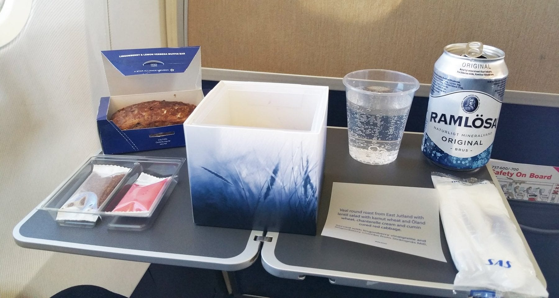 SAS Scandinavian airlines Cube inflight meal