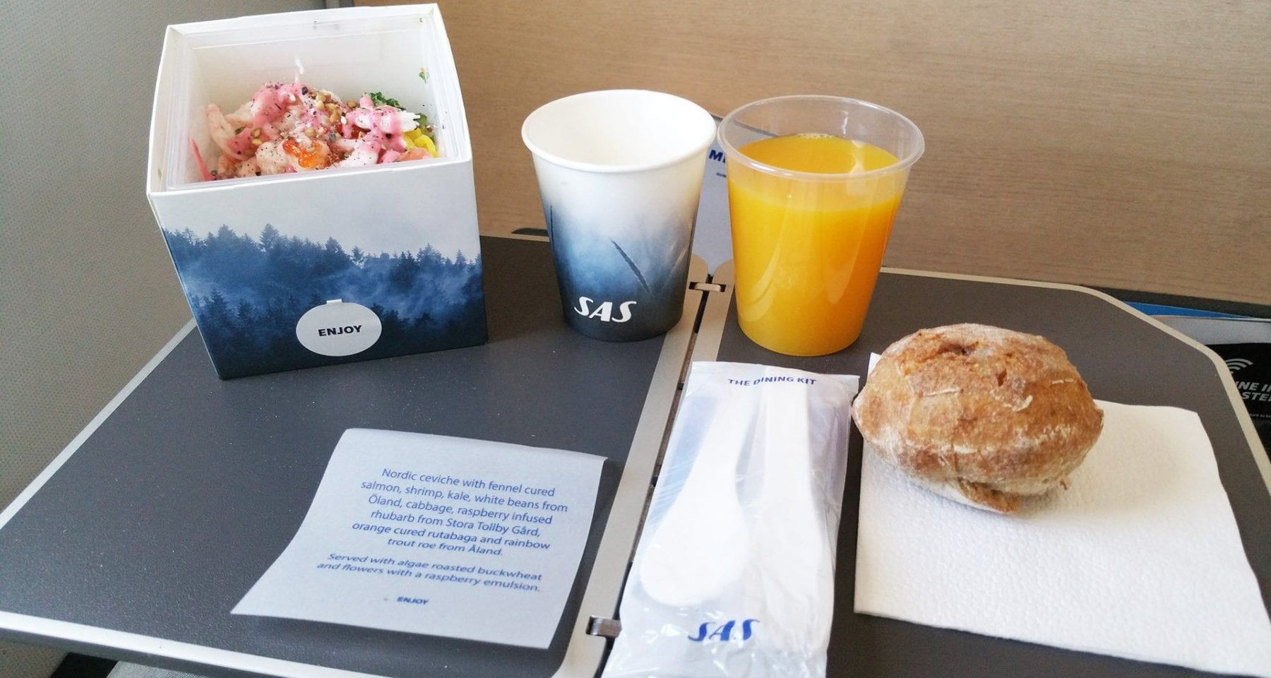 SAS Scandinavian airlines Cube inflight meal