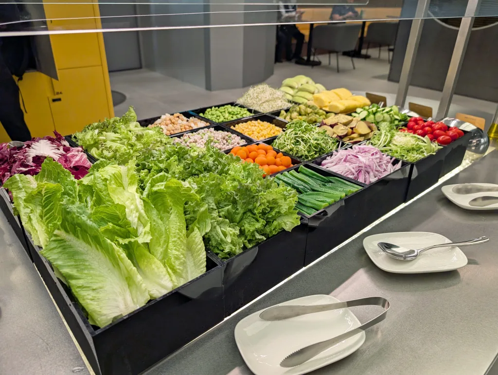 A salad bar with various fresh vegetables, including lettuce, tomatoes, onions, cucumbers, sprouts, and beans, organized in black trays beside empty plates and tongs.